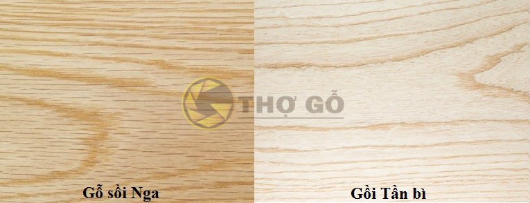 Cách phân biệt gỗ sồi và gỗ tần bì