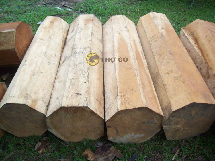 So sánh gỗ gụ và gỗ mít