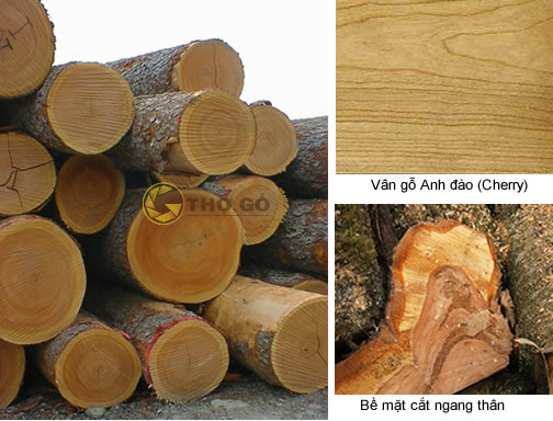 Hình ảnh gỗ anh đào